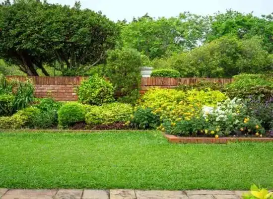 landscaping services Raymore